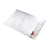 PK100 TYVEK ENV 229X324