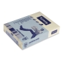 Lyreco Pastel Tinted Cream A4 Paper 80 gsm - Pack of 1 Ream (500 Sheets)