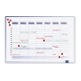 Lega 490000 Accent Linear Weekly Planner Cool