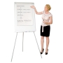 BIOFFICE EASY NON MAG FLIPCHART 70X102CM