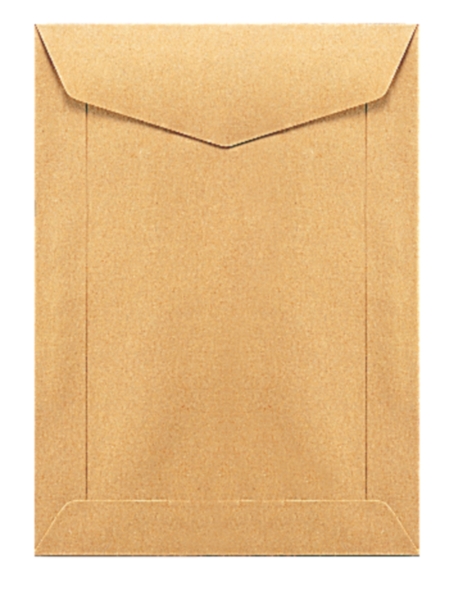 Special envelopes wage-packet 95x145mm 70g brown - box of 1000