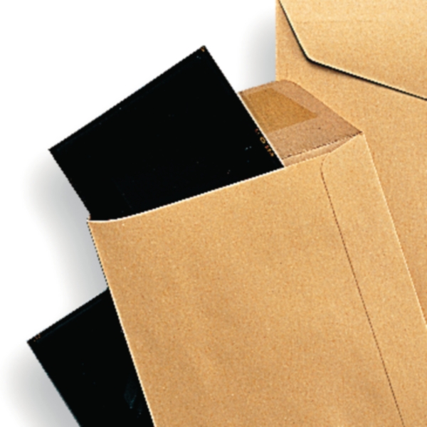 Special envelopes wage-packet 95x145mm 70g brown - box of 1000