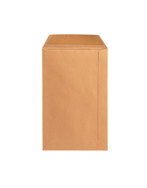 Bags 160x240mm gummed 90g brown - box of 250