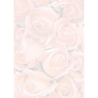 DESIGN PAP ROSE TSC-6690 A4 20SHEET/BAG