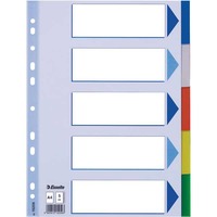 ESSELTE 5- PART DIVIDER PP ASST COL