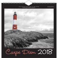 AJASTO CARPE DIEM WALL CALENDAR 290X290