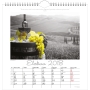 AJASTO CARPE DIEM WALL CALENDAR 290X290